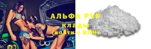 стаф Абинск