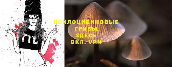 кокс Абаза