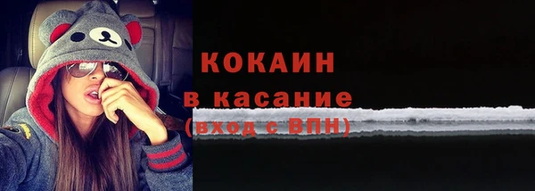стаф Абинск