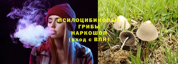 стаф Абинск