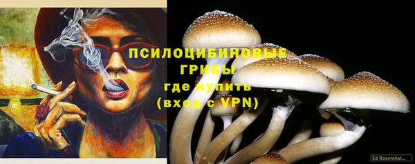 ECSTASY Алзамай