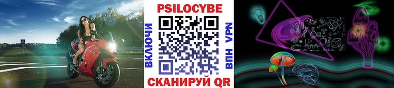 Галлюциногенные грибы Psilocybe  где купить наркотик  Алзамай 