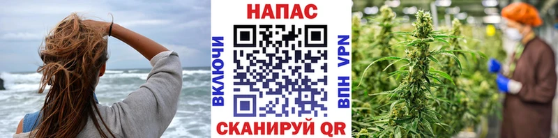 Каннабис конопля OMG онион Алзамай
